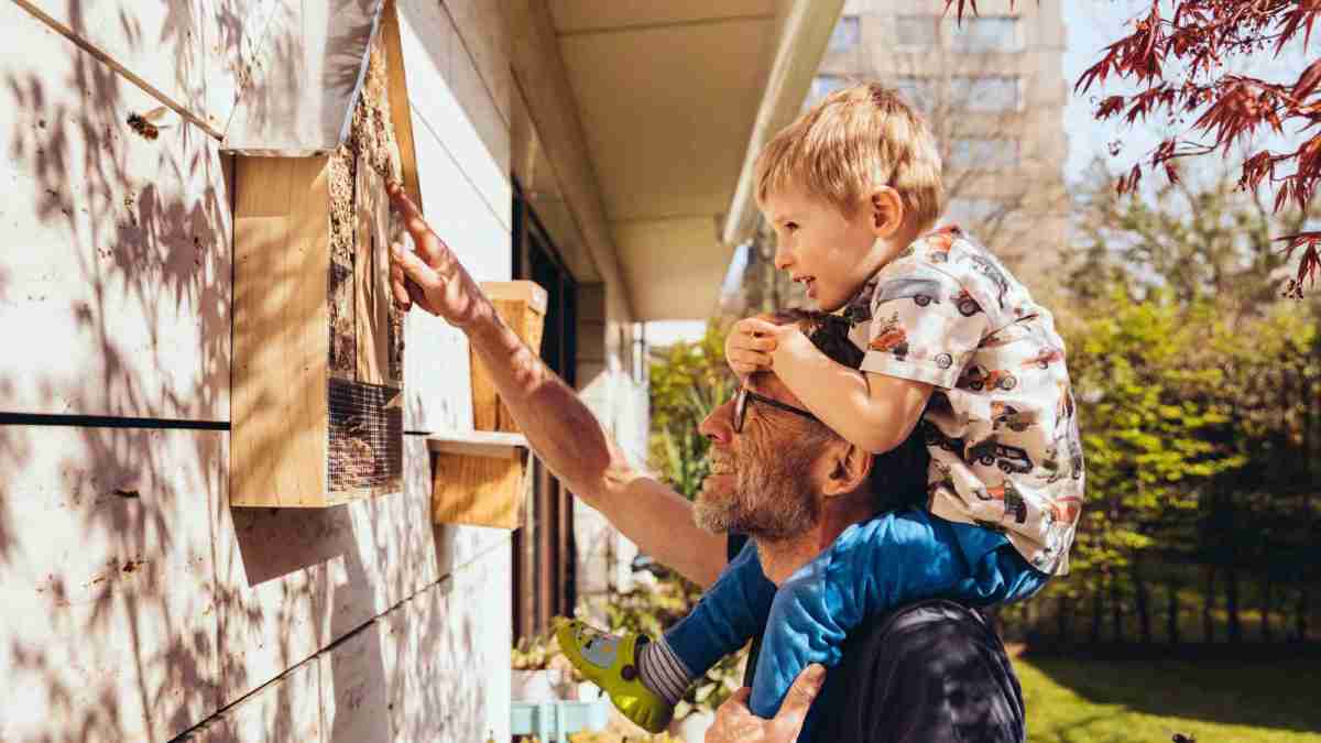 Young son on his fathers shoulders looking at their small at home insect house on the side of their house in the garden